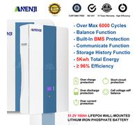 0%VAT 51.2V 100A LiFePO4 Battery Wall-mounted 5.12Kwh Rechargeable BMS for Solar