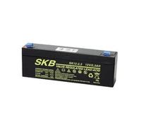 0000048442 Skb BATTERIA RICARICABILE SKB AL PIOMBO 12V 2,3A (38640205)