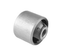 TEDGUM 00059920 Supporto, Differenziale