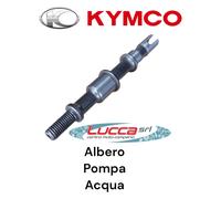 00124292 Albero Pompa Acqua Kymco B&W 250 - Grand Dink 250 - Yup 250 - XTown 300