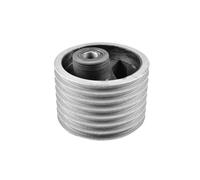 00133412 SUPPORTO MOTORE-CAMBIO ANTERIORE (INSERTO) NEON, VOYAGER