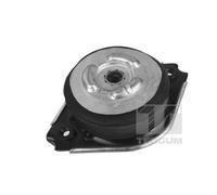 00418536 SUPPORTO MOTORE (SINISTRO/DESTRO) CLASS-ML