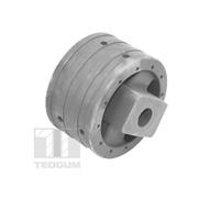 TEDGUM Supporto motore