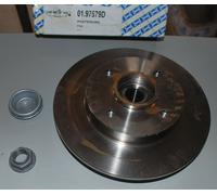 01.97579D SNR Disco freno posteriore ZONE OSSIDATE PER PEUGEOT CITROEN C4