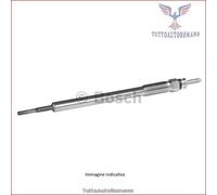 0250202146 Candelatta Bosch