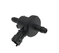 0280142500 BV619G866AA BV61-9G866-AA Elettrovalvola di purificazione della valvola del vuoto