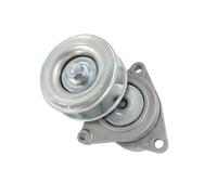 0290-T30 11955-6N20B 1 pz gruppo tenditore compatibile per Nissan Altima Rogue Select Sentra X-Trail 02-15 puleggia tenditrice puleggia folle