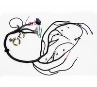 03-07 LS Vortec Cablaggio Standalone Drive-By-Wire Con 4L80E 4.8 5.3 6.0 EV1 USA