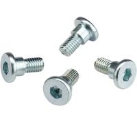 039-6A02 KIT VITI DISCO FRENO TM RACING MX 85 JUNIOR SMALL WHEEL 2002