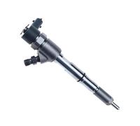 0445110275 0445110248 0445110273 0445110183 0445110064 0445110376 0445110291 0445110059 Accessori Per Motori Iniettori Di Carburante Diesel HGMGFYCX(0445110064)