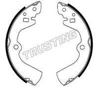 067.172 TRUSTING GAN.FRE.HYUNDAI Bluebird (T72 , T12) : 1. Trusting Freni