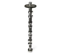 06H109571G Ingranaggio di fasatura dell'albero a camme di scarico compatibile con VW/Audi/Skoda/Seat 06H109022 Gruppo albero a camme di aspirazione e scarico