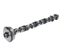 06K109022R Boccola albero a camme motore diesel Tdi compatibile con VW Tiguan Teramont B92.0T Gruppo albero a camme di aspirazione e scarico