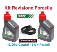 072 - Kit Castrol Fork Oil 15W + Paraoli Forcella KAWASAKI ZX 750 dal 1991 >1992