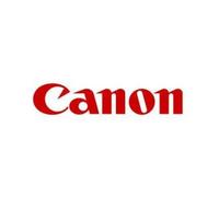 Canon PFI-1700PGY cartuccia d'inchiostro Originale Grigio per foto