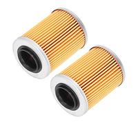 0800-011300, Filtro olio motore Filtri olio antipolvere 2 pezzi per accessori ATV Sostituzione per CF Moto UForce ZForce
