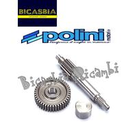 0992 - INGRANAGGI POLINI PRIMARI Z 13-44 MALAGUTI 50 CENTRO PHANTOM F12