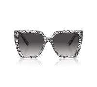 Dolce e Gabbana DG4438 C55 32878G
