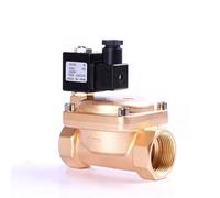 1-1/2 "elettrovalvola solenoide in ottone normalmente chiusa ad alta pressione 0927 1.6Mpa pilotata elettrovalvola 220V 24V 12V (guarnizione 24VDC-NBR)