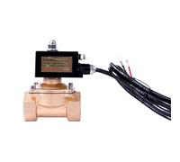 1-1/2 "valvola a solenoide a prova di esplosione è speciale per aree pericolose (12VDC_Normally chiuso)