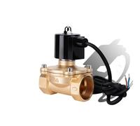 1-1/4" elettrovalvola a solenoide normalmente chiusa DN32 Fontana in ottone 110V 24V 12V 24v per subacquea (BSP-110VAC-VITON-SEAL)