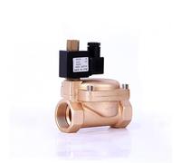 1-1/4" normalmente aperto ad alta pressione in ottone elettrovalvola 1.6Mpa tipo pilota elettrico valvole dell'acqua 220V 110V 24V 12V (G-220VAC)
