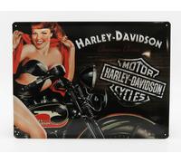 1/1 EDICOLA - ACCESSORIES - 3D METAL PLATE - HARLEY DAVIDSON AMERICAN 3D23223