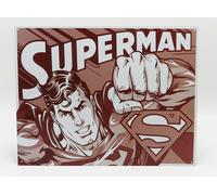 1/1 EDICOLA - ACCESSORIES - METAL PLATE - SUPERMAN D1732