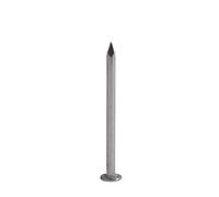 1-100 pezzi 304 chiodi rotondi for lavorazione del legno in acciaio inossidabile for scatole di, mobili in, decorazioni ecc. Chiodi for cemento a testa piatta, for calcestruzzo(20PCS 2.0 Inch)