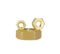 1-100 pezzi Dadi esagonali in ottone con filettatura metrica Dadi esagonali for bulloni Viti M1.4 M1.6 M2 M2.5 M3 M4 M5 M6 M8 M10 M12 M14 M16 M20(M3 (100Pcs))