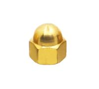 1-10PCS M3 M5 M6 M8 M10 M12 M14 M16 Tappo Di Rame Dado Ghianda Testa Cupola Dadi Esagonali In Ottone DIN1587(M16 1pc)