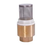 1/2" 3/4" 1" 1-1/4" 1-1/2" 2" 2-1/2" 3" BSP Female Brass Check Valve Non-return With Steel Strainer Filter For Water Plumbing(1/2")