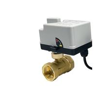 1/2“ 3/4” 1“ 1-1/4” 1-1/2" Electric Ball Valve With Manual Switch AC220V DC12V DC24V 2-Way Brass Ball Valve With Actuator 3-Wire(1-1/4",220VAC)