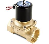 1/2 3/4 1 2 Lnch Pollici Valvola solenoide in ottone normalmente chiusa 220VAC 110VAC 24VDC 12VDC 24VAC 1Pc(1-1/4", 220VAC)