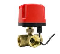 1/2“ 3/4” 1“ 2" pollici Sfera motorizzata impermeabile a 3 vie Sfera in ottone Tre linee o due linee(T Type-220vac-cr02,1 Inch)