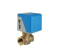 1/2" 3/4" 1"Motorized Electric Brass Globe Valves 2 Wire AC 220V Two Way Stop Shut-off Valve(1/2")