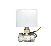 1/2 3/4 1 pollice valvola a sfera elettrica in acciaio inox a tre fili di controllo Due modi 1 pezzo (1",24 VDC)