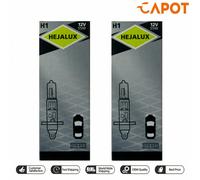 NEOLUX® N448 Lampadina, faro di profondità