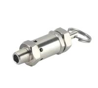 1 2 3 4 5 6 7 8 9 10Bar 1/4 3/8 1/2 pollici Maschio Valvola Limitatrice di Pressione Molla Regolabile Homebrew 1 Pz(6 Bar (0.6 Mpa),3l8 BSPT Male)