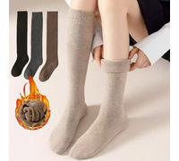 1/2/3/4 paia di calze alte fino alla coscia da donna di colore unito, termiche e imbottite, versatili per lo stile JK, un must have di moda per l'autunno/inverno, calze calde e confortevoli 36-39Color