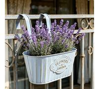 1/2/3 pezzi Vasi da appendere vintage in stile usurato, con ganci doppi rimovibili + design con foro di drenaggio, possono essere utilizzati come contenitori e vasi per fiori, adatti per vari fiori, p