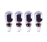 1/2/4 pezzi 300BS-B tubo a vuoto(4 piece 300BS-B)