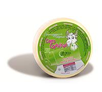 1.2 kg - Formaggio di capra senza lattosio - prodotto a Marrubiu, Sardegna. Dal sapore intenso, pasta bianca, liscia, con leggera occhiatura