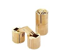 1/2 pezzi 8-18mm cerniera for tamburo in ottone nascosta armadio cilindrico nascosto invisibile cerniera for porta in ottone hardware for mobili di montaggio(10mm 2pcs)