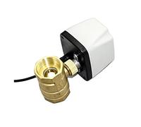 1/2 virgoletta; 3/4 Citazione; 1 citazione; 2 Cit; Valvola a sfera elettrica AC220V 3 fili 2 punti di controllo Valvola a sfera motorizzata in ottone 220VAC 24VDC 12VDC 24VAC 1 pz(12VDC,0.75 Inch)
