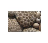 1,2 x 1,8 m bandiera decorativa arazzo 4 occhielli poliestere appeso banner | Petoskey Stone Stampato Bandiere Esterne Per Esterno Porta Della Parete Casa Sfondo