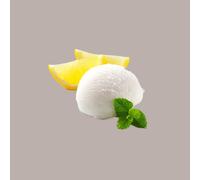 1,25 Preparato in Polvere per Gelato Easy Gusto Limone Bon Bon Leagel