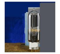 1/2PCS WE845 tubo audio a vuoto(1pcs)