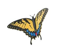 1/3 magneti da frigorifero a forma di farfalla, magneti colorati per frigorifero, squisita decorazione per elettrodomestici, design realistico, decorazione a farfalla bionica (giallo)