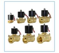1/4 1/8 3/8 1/2 3/4 1 2 pollici AC220V DC12V/24V elettrovalvola elettrica valvola pneumatica per acqua olio aria gas 1 pz (DN40,220V)